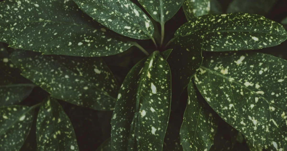 Downtown Hendron, KY, KY