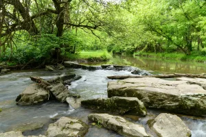 Downtown Heritage Creek, KY, KY