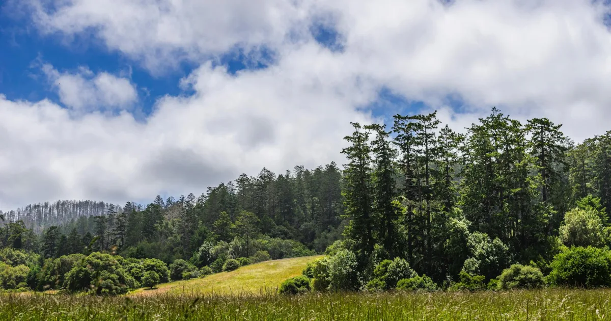 Downtown Hidden Meadows, CA, CA