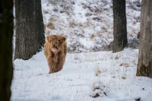 Downtown Highland Acres, DE, DE