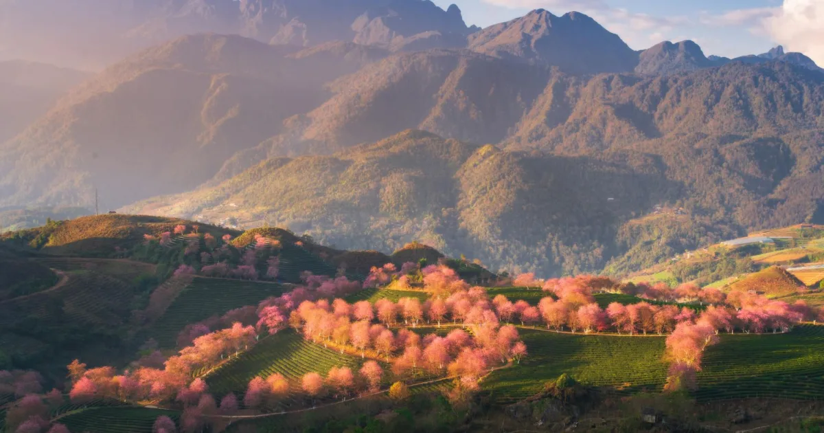 Downtown Highland, PA, PA