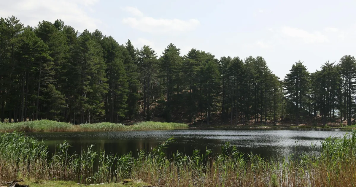 Downtown Highland Lake, AL, AL