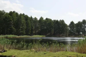 Downtown Highland Lake, AL, AL