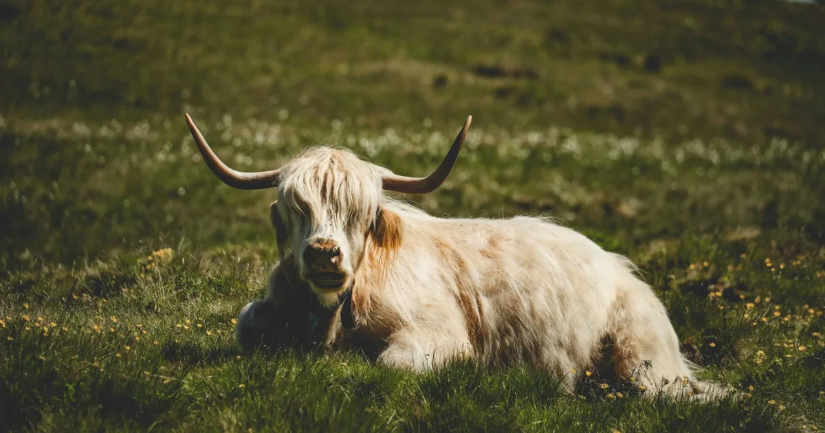 Downtown Highland, MI, MI