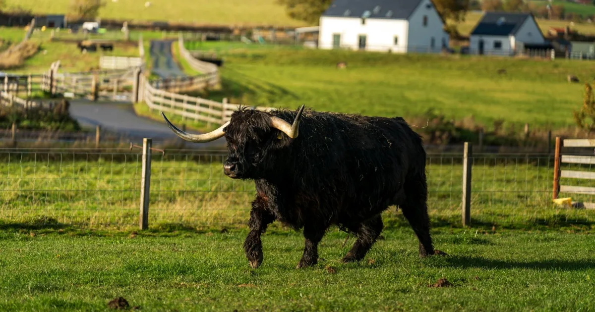 Downtown Highland Park, MI, MI