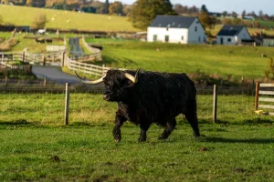 Downtown Highland Park, MI, MI