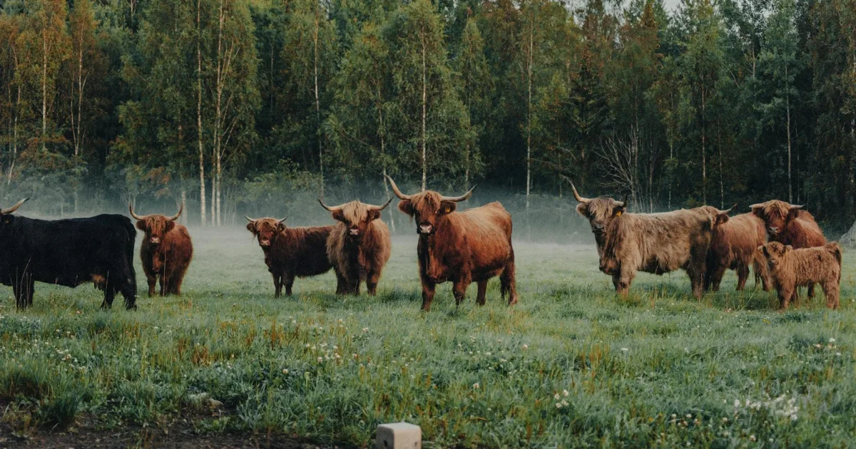 Downtown Highland, UT, UT