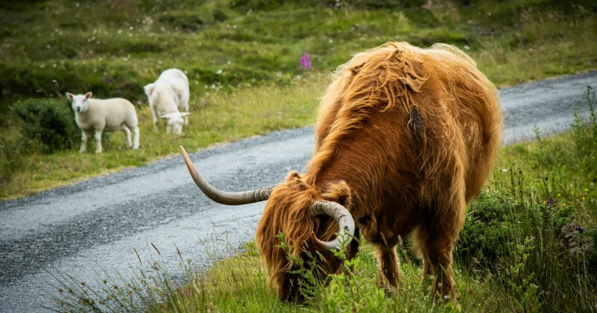 Downtown Highland, IN, IN
