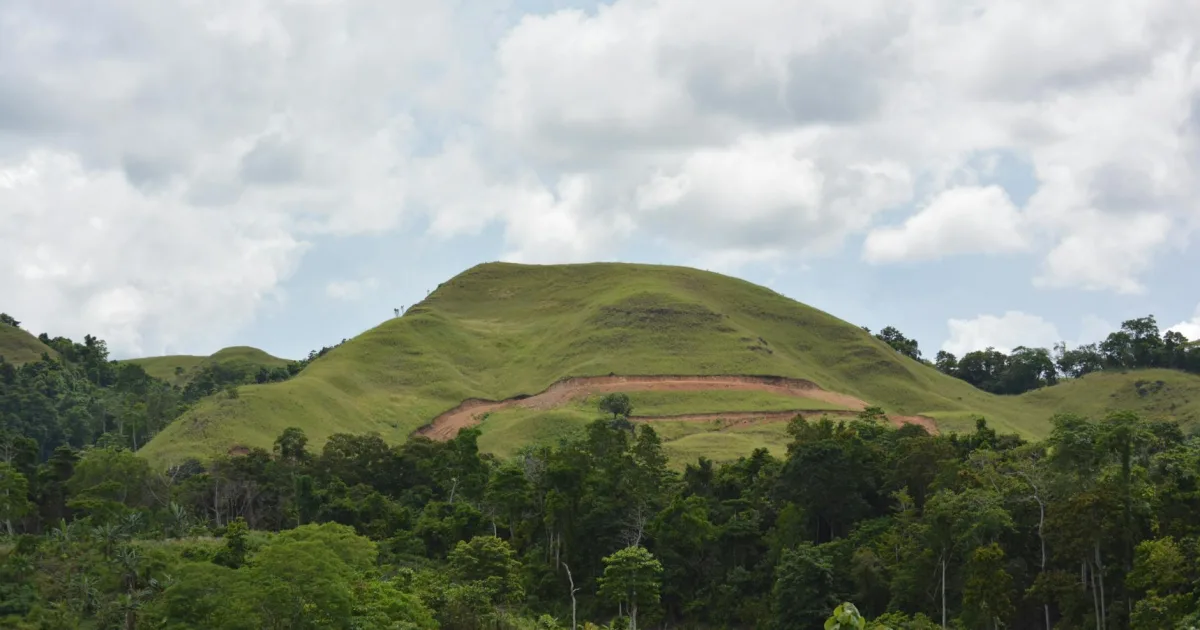 Downtown Hill 'n Dale, FL, FL