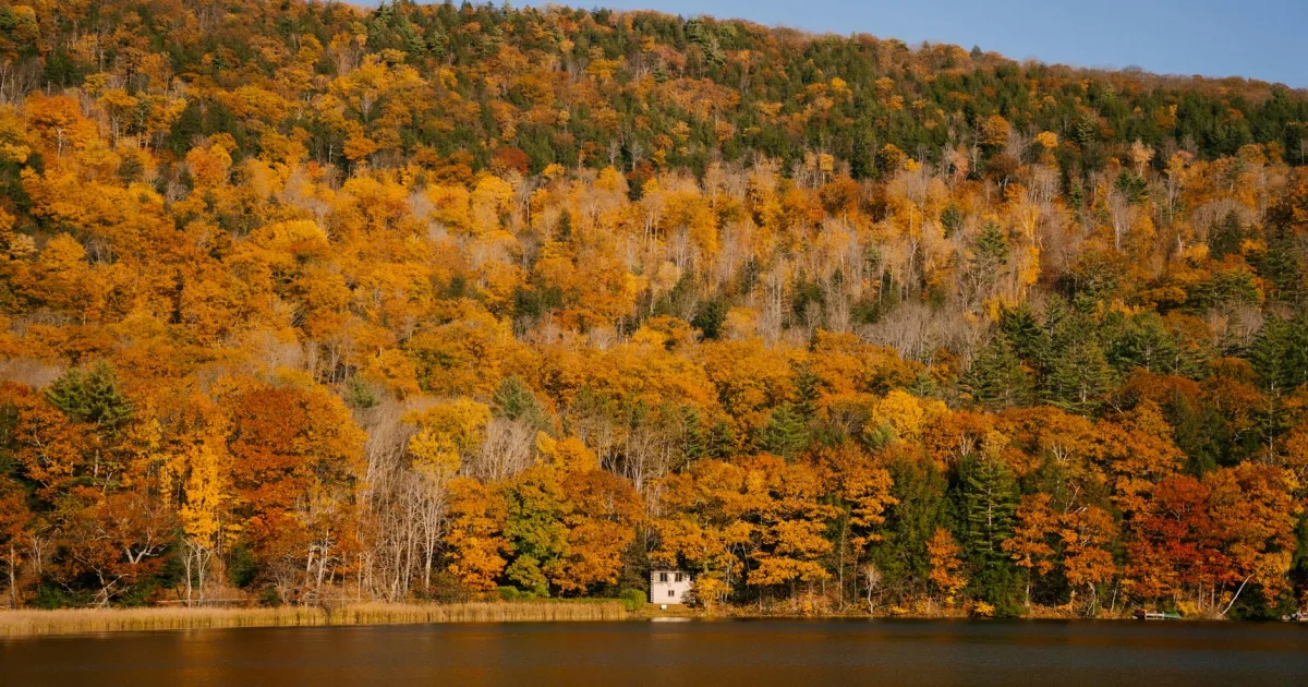 Downtown Hillside Lake, NY, NY