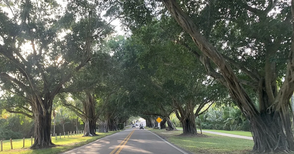 unincorporated area and census-designated place in Martin County, Florida, United States