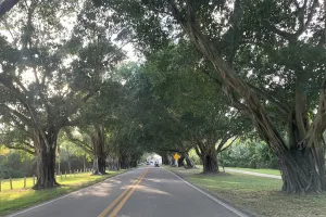 unincorporated area and census-designated place in Martin County, Florida, United States