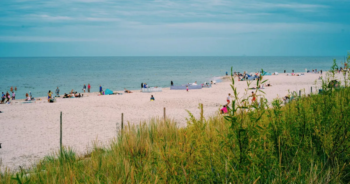 Downtown Holiday Shores, IL, IL