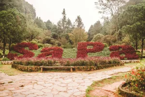 Downtown Hollenback, PA, PA