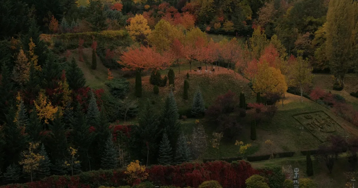 Downtown Homeland Park, SC, SC