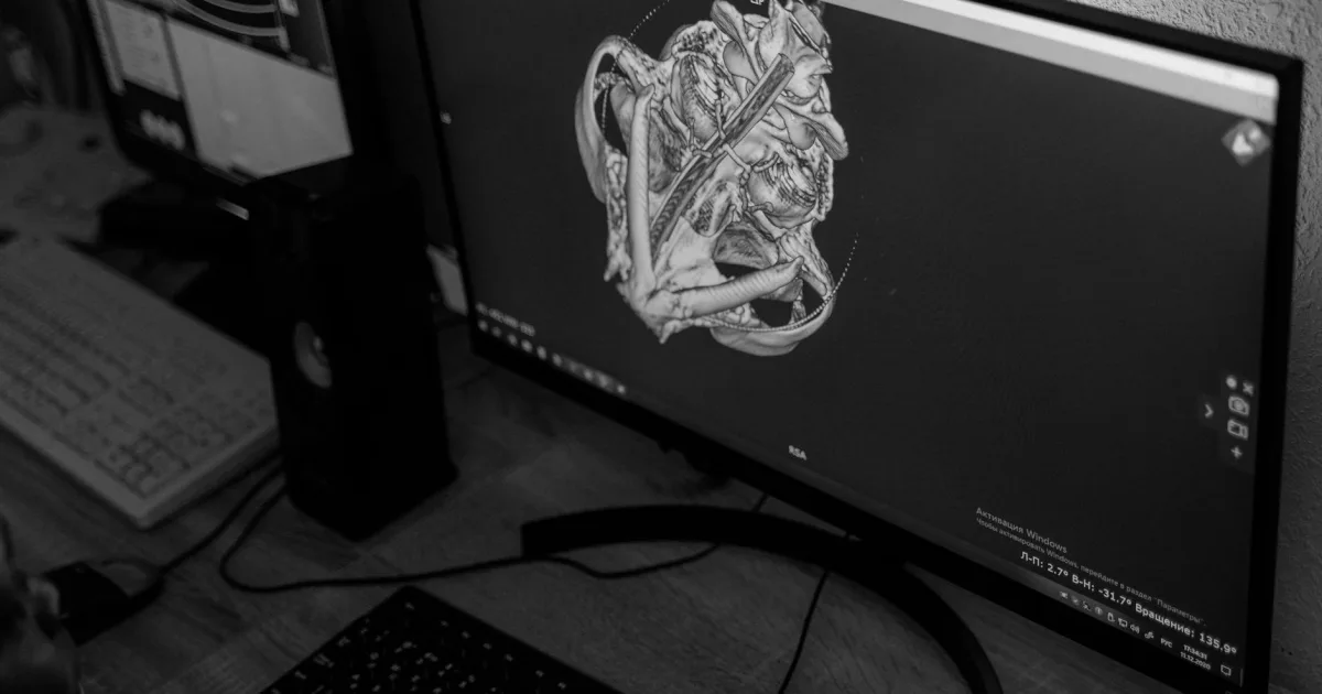 Downtown Hungary, CT, CT