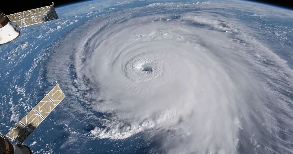 rapidly rotating storm system that forms in the tropics
