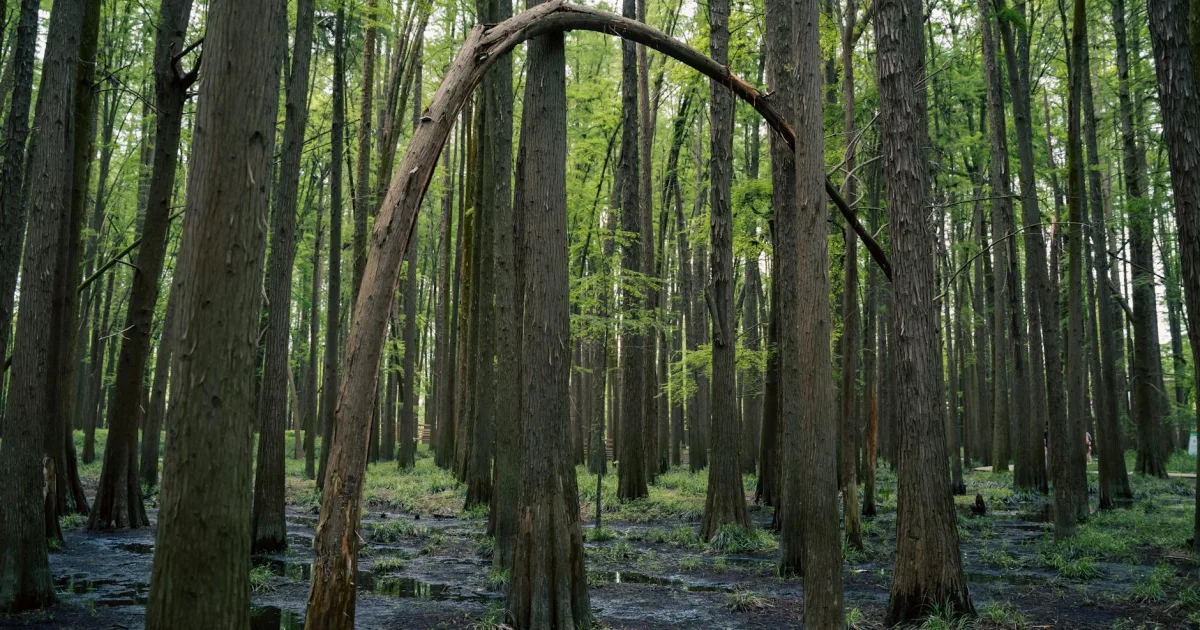 Downtown Ida Grove, IA, IA