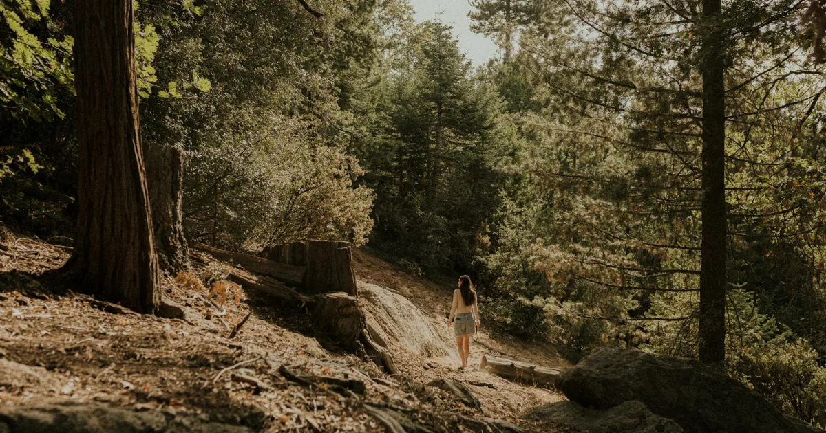 Downtown Idyllwild, CA, CA