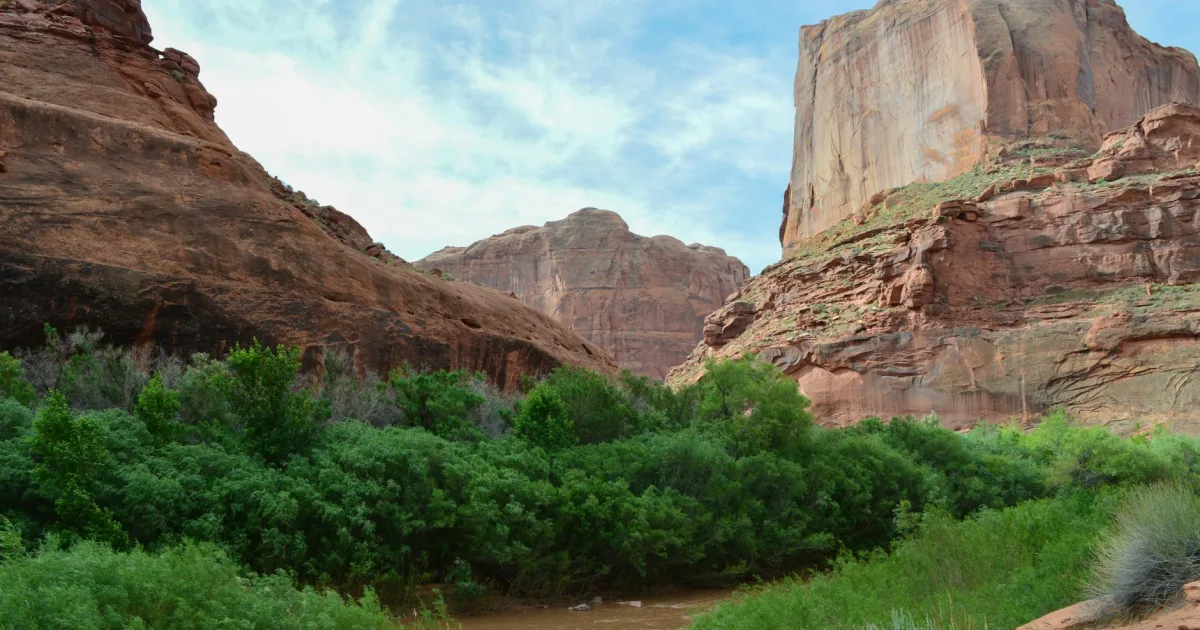 Downtown Indian Creek, IL, IL