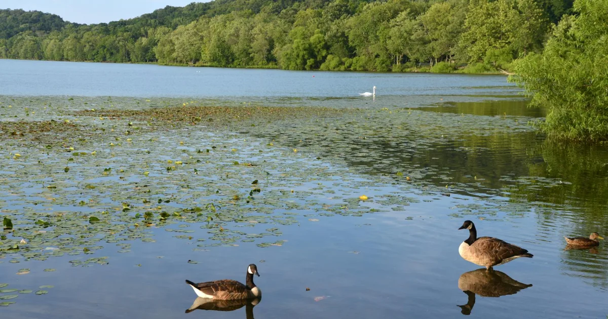 Downtown Indian Mountain Lake, PA, PA