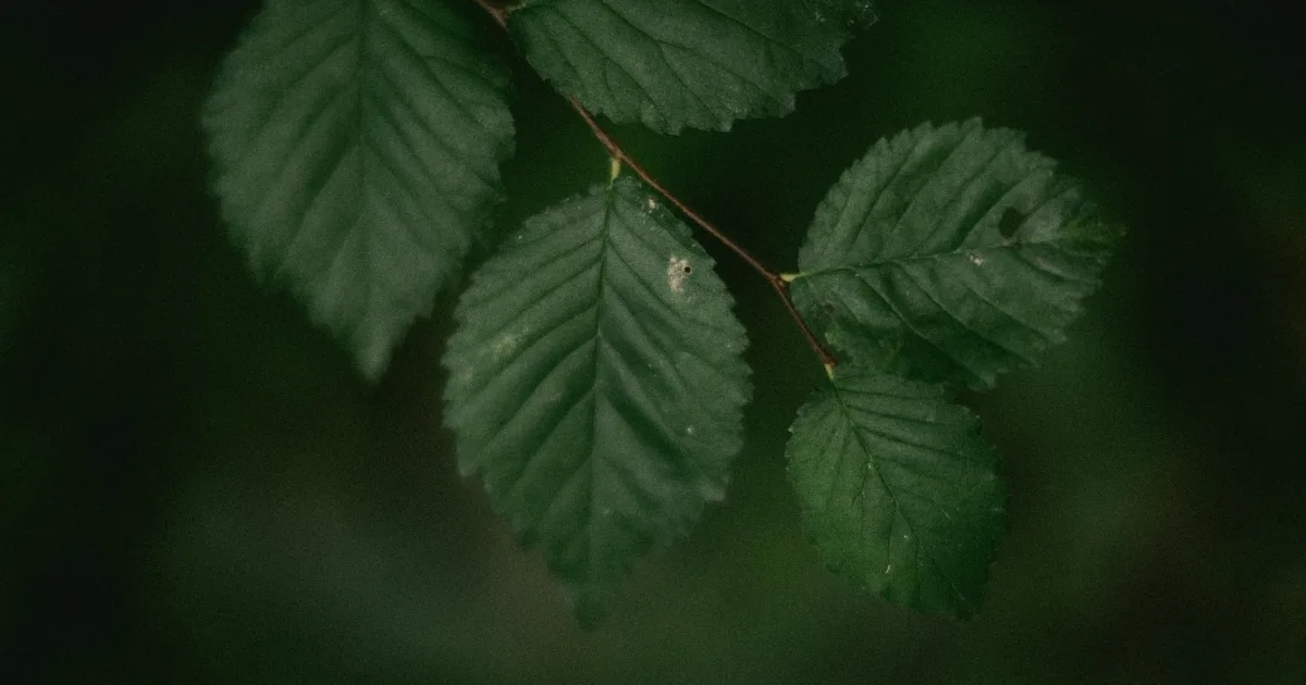 Downtown Ironwood, MI, MI