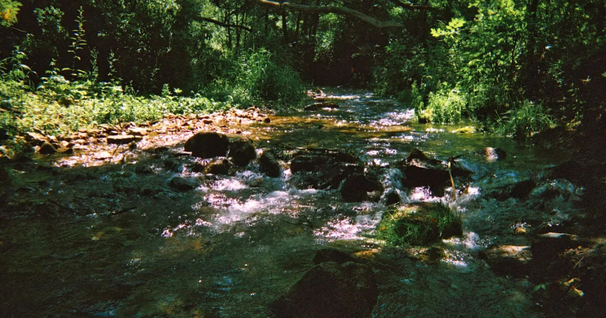 Downtown Island Creek, OH, OH