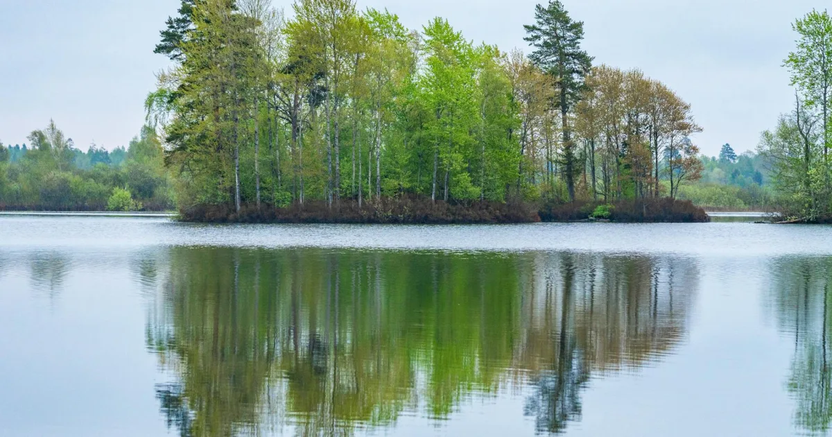 Downtown Island Lake, IL, IL