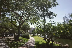 Downtown Island Walk, FL, FL