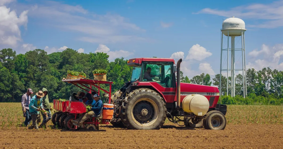 Downtown Itawamba County, MS, MS