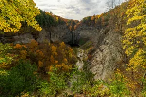 Downtown Ithaca, MI, MI