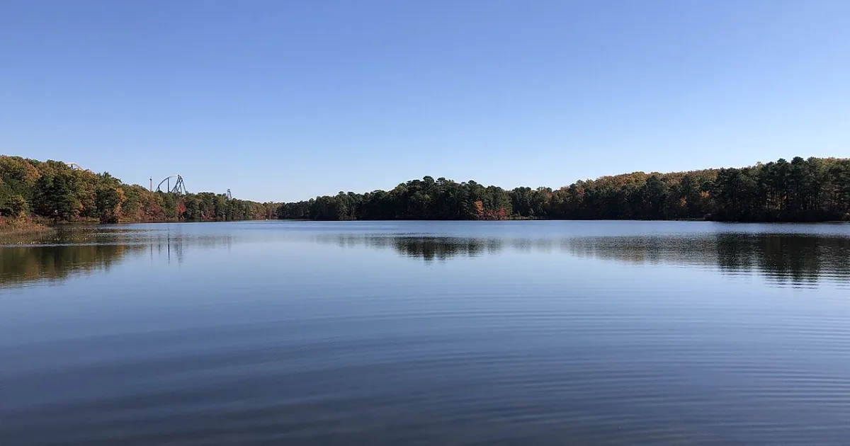 Downtown Jackson, NJ, NJ