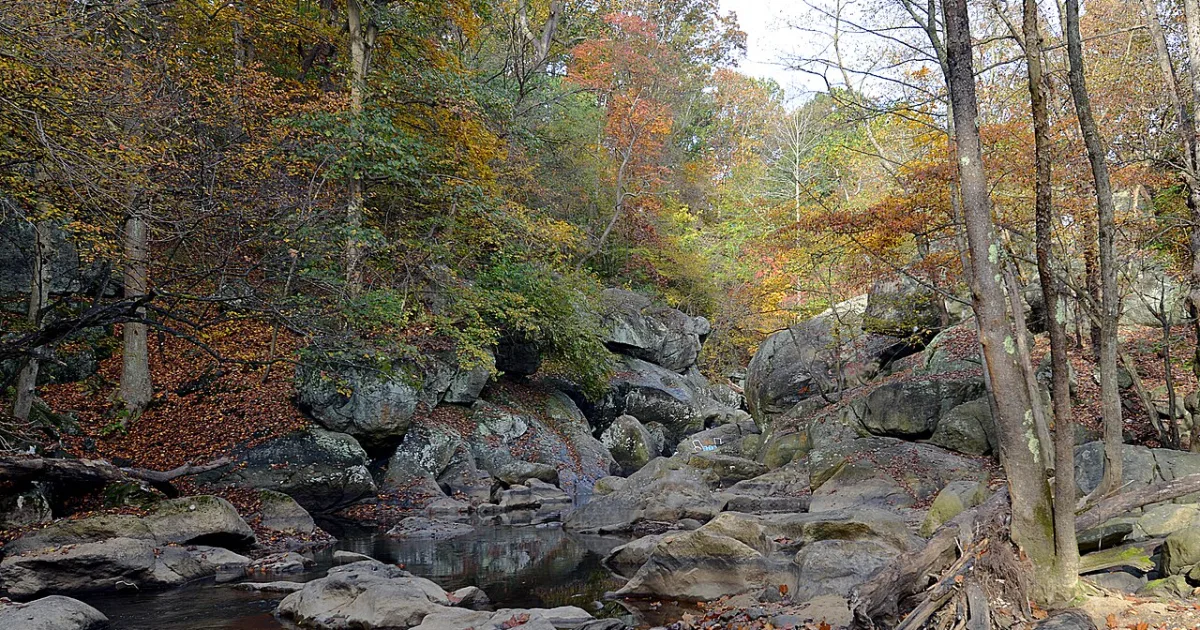 census-designated place in Montgomery County, Maryland, United States, Suburb of Washington DC