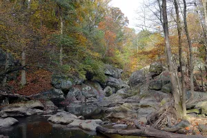 census-designated place in Montgomery County, Maryland, United States, Suburb of Washington DC