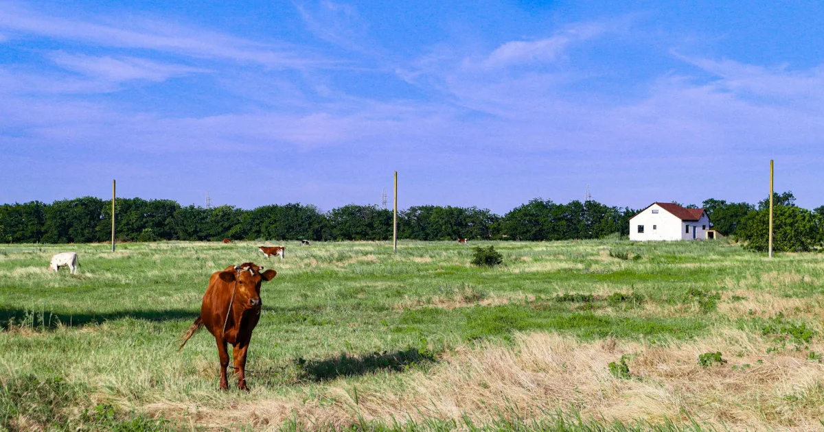 Downtown Kenefick, TX, TX