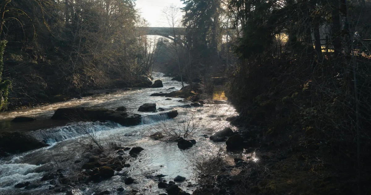 Downtown Kettle Falls, WA, WA