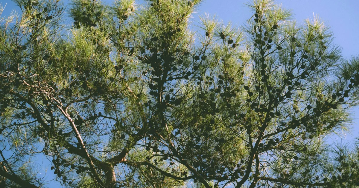 Downtown Kiefer, OK, OK