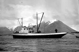 city in Aleutians East Borough, Alaska, United States