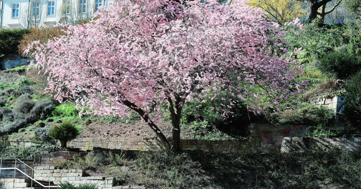 Downtown Kirschs Corner, IN, IN