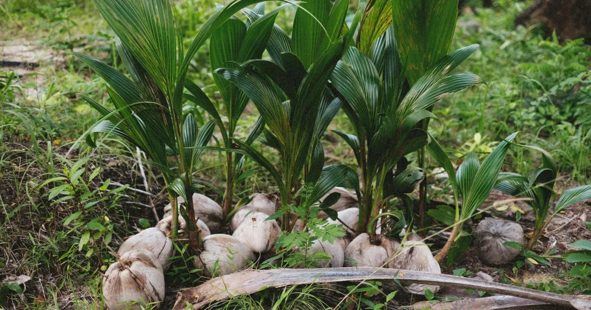 Downtown Kokomo, IN, IN