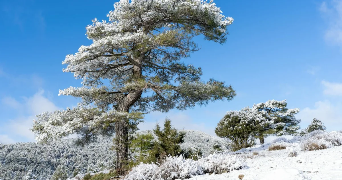 Downtown La Pine, OR, OR