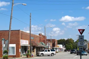 city in Macon County, Tennessee, United States of America