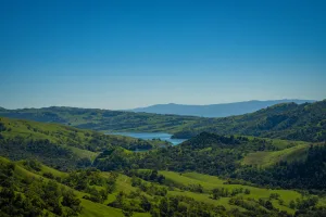 Downtown Laguna Hills, CA, CA