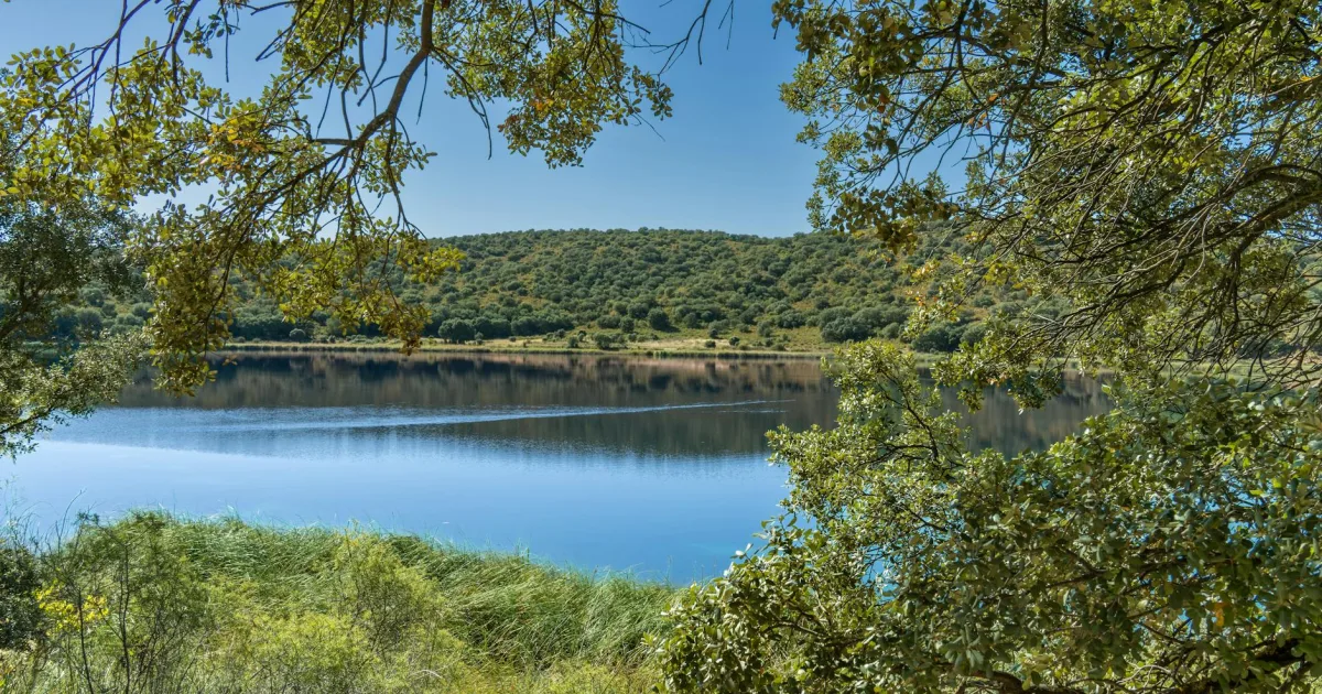 Downtown Laguna Park, TX, TX