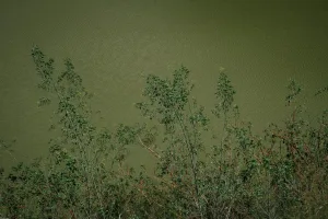 Downtown Lake Charles, LA, LA