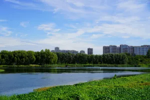 Downtown Lake City, KS, KS