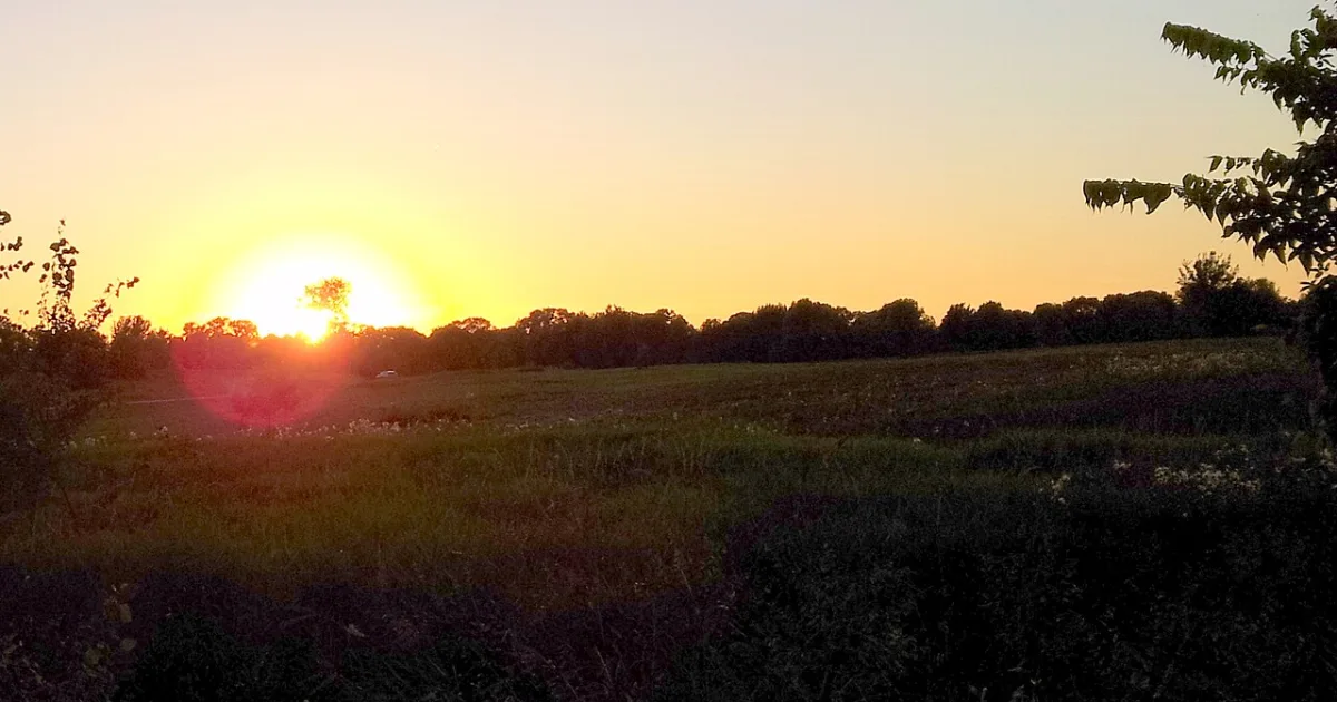 city in Washington County, Minnesota