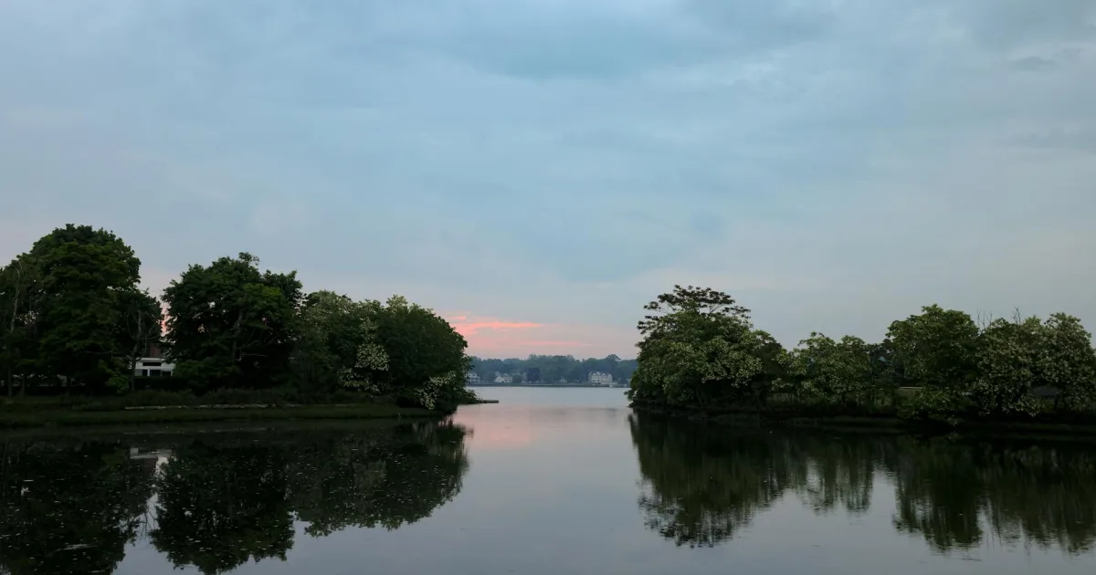 Downtown Lake Grove, NY, NY