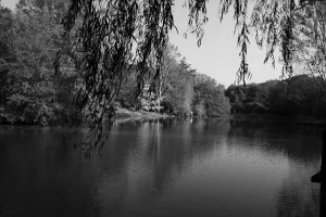 Downtown Lake Isabella, MI, MI