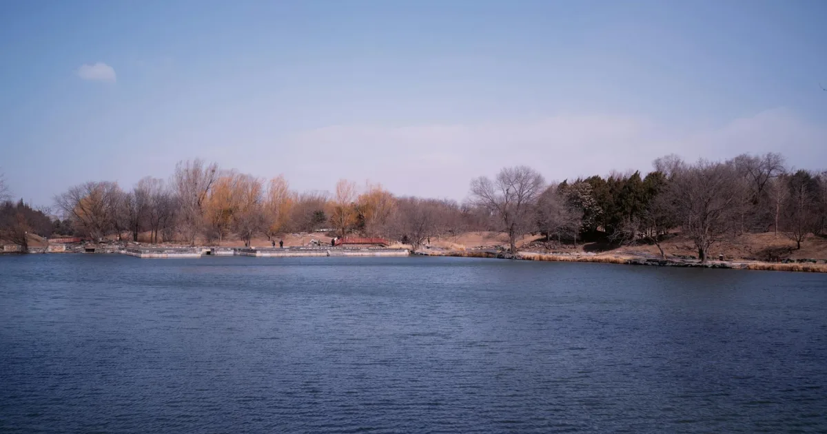 Downtown Lake of the Woods, IL, IL